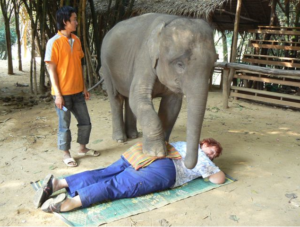 Linda Johnson elephant massage