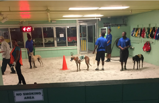 Palm Beach Kennel Club