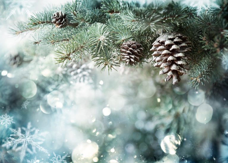 Generic Holiday Image