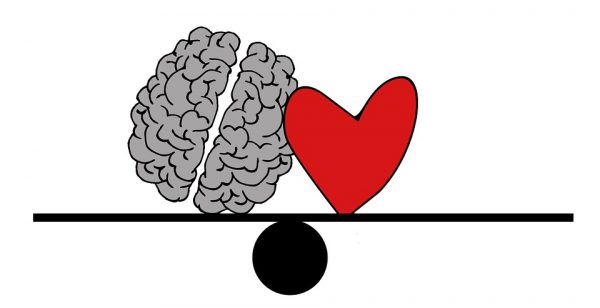 brain and heart